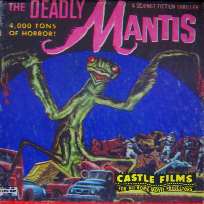 The Deadly Mantis